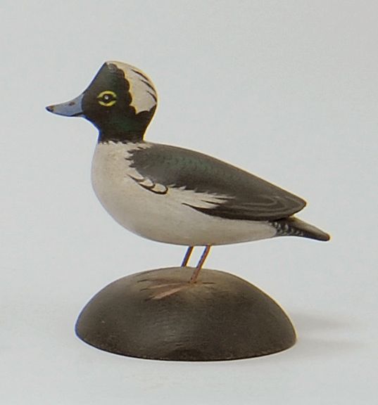 Appraisal: MINIATURE BUFFLEHEAD DRAKE By Crowell of East Harwich Massachusetts Rectangular