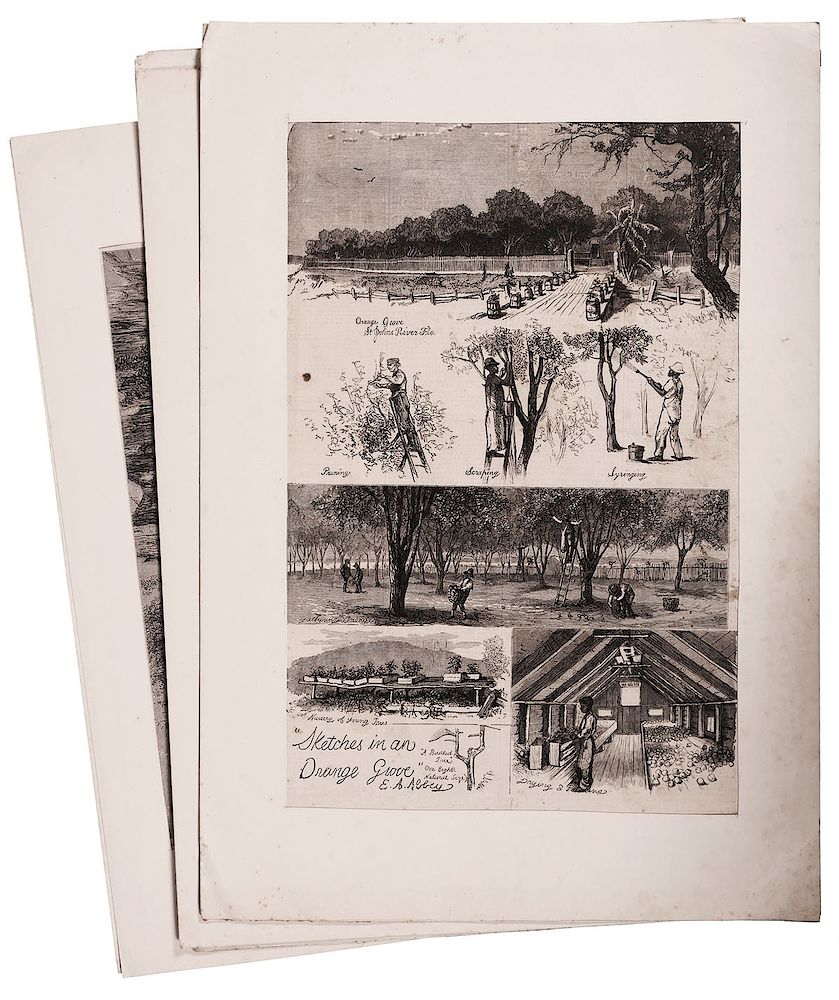 Appraisal: FLORIDA Engravings From Harper's Weekly s Four full-page engravings x