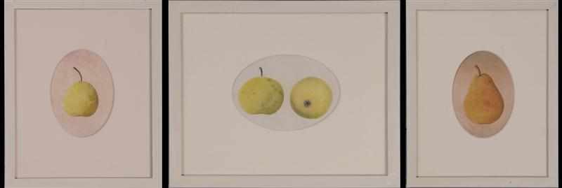 Appraisal: AMERICAN SCHOOL STILL LIFES OF APPLES AND PEARS Three watercolors