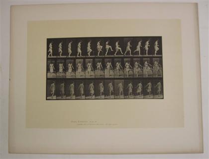 Appraisal: piece Photogravure Muybridge Eadweard Animal Locomotion Plate x inches x