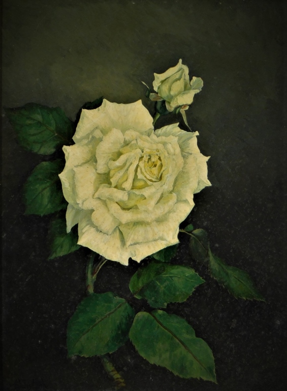 Appraisal: HERMANN MURPHY O B WHITE ROSE STILL LIFE PAINTING Massachusetts