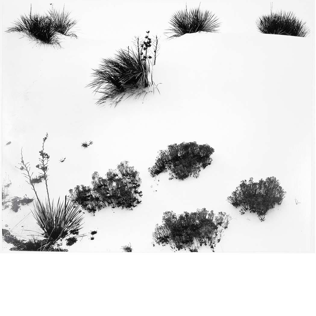 Appraisal: WESTON BRETT - Untitled Portfolio print Silver gelatin print x