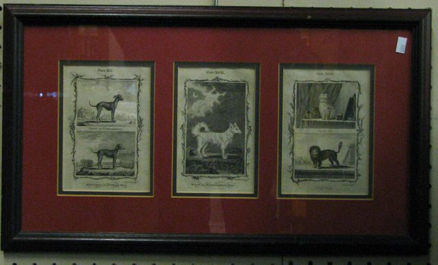 Appraisal: Framed antique book plates depicting breeds and types of canines