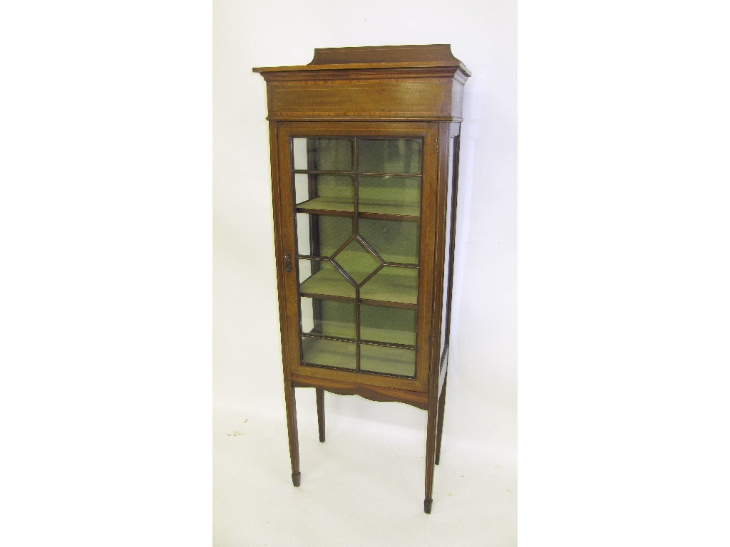 Appraisal: An Edwardian mahogany inlaid display cabinet richly decorated with satinwood