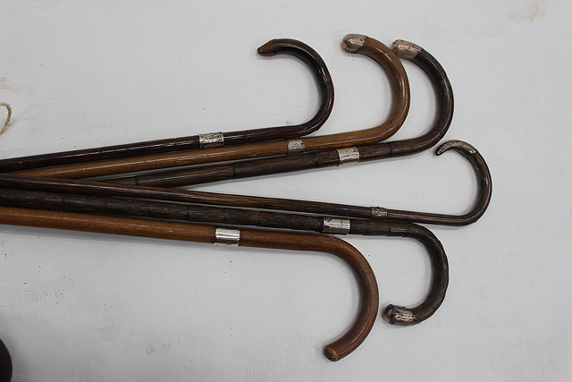 Appraisal: A GROUP OF ANTIQUE CANE WALKING STICKS with crook handles