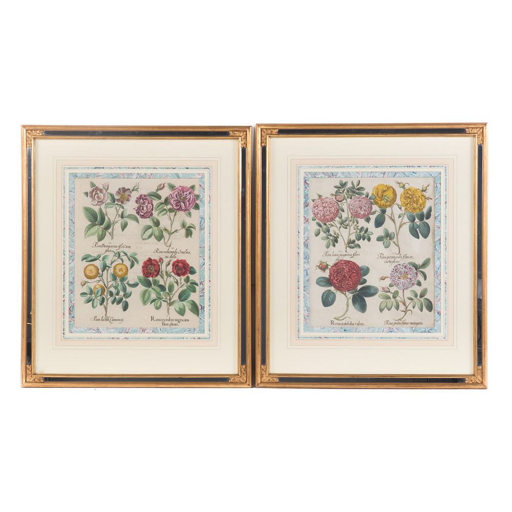 Appraisal: Basilius Besler Two Framed Floral Engravings German - From Hortus