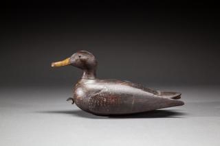 Appraisal: Black Duck Drake Black Duck DrakeSouth Fork Long Island NY