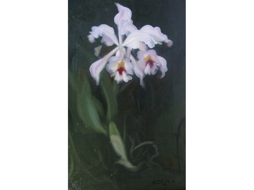 Appraisal: JAMES STUART PARK - PINK ORCHID Oil on canvas signed