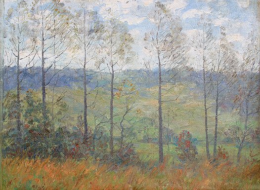 Appraisal: AMERICAN IMPRESSIONIST LANDSCAPE OF NORTH CHEVY CHASE MD '' x