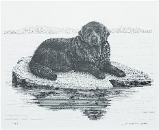 Appraisal: A Print of a Newfoundland x inches A Print of