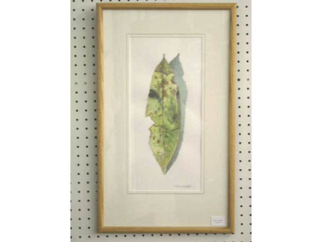 Appraisal: M McNedy Print owl reflection in a leaf signed