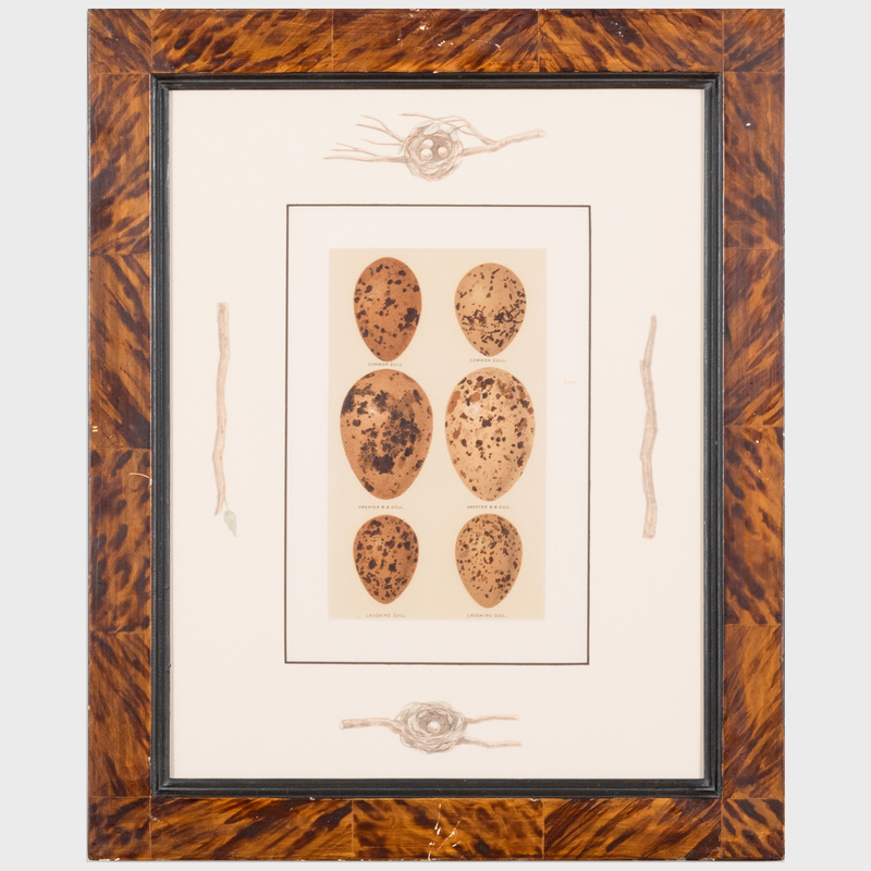 Appraisal: ENGLISH SCHOOL SPECKLED EGGS FOUR PLATES Four lithographs in colors