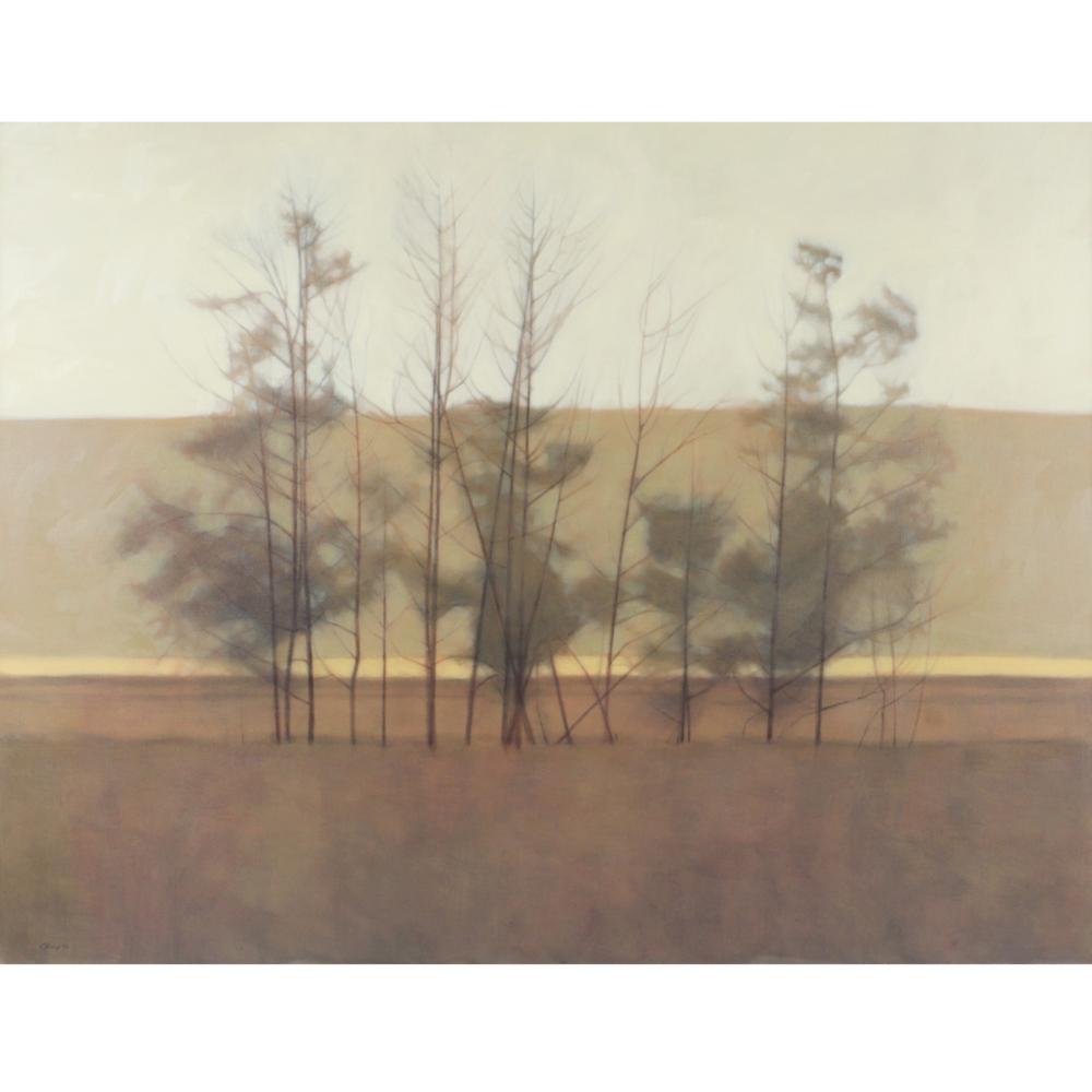 Appraisal: CONNIE BORUP AMERICAN B SHADOWY TREES OIL ON CANVAS H