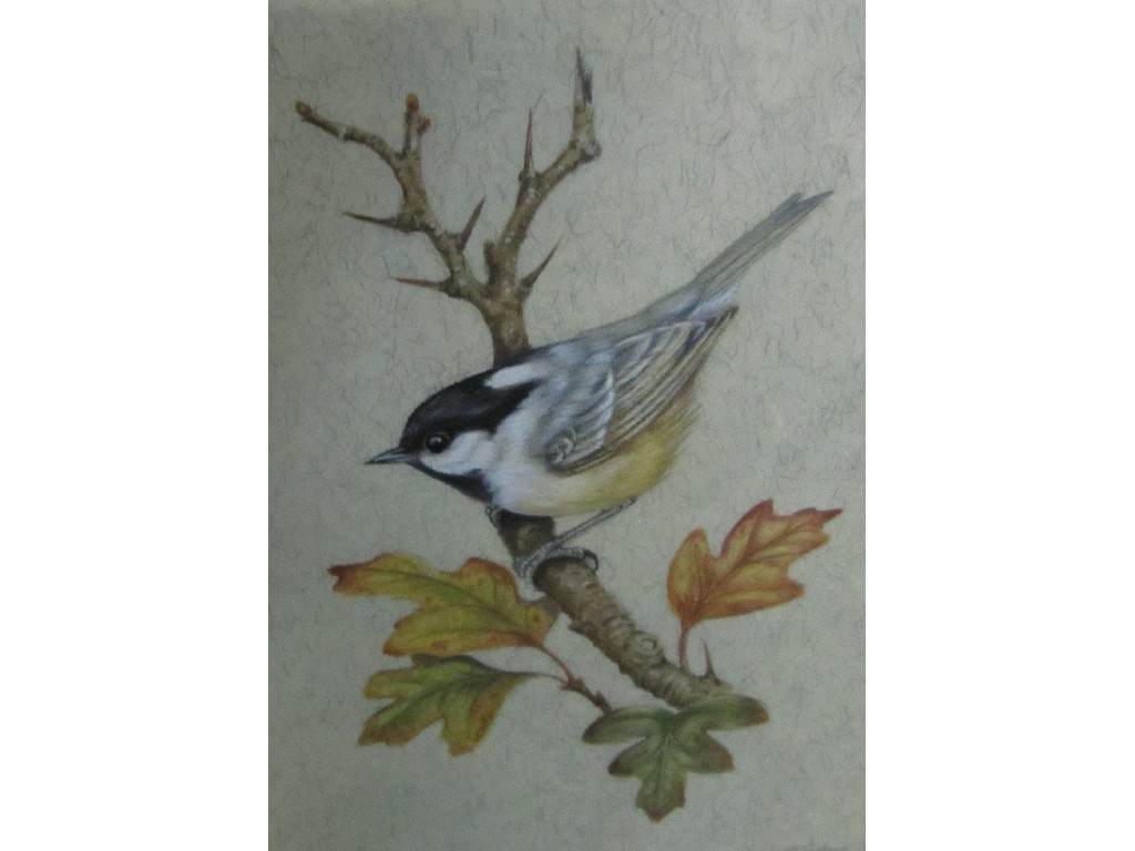 Appraisal: BARRY MCFARLANE Watercolour 'Coal Tit' signed