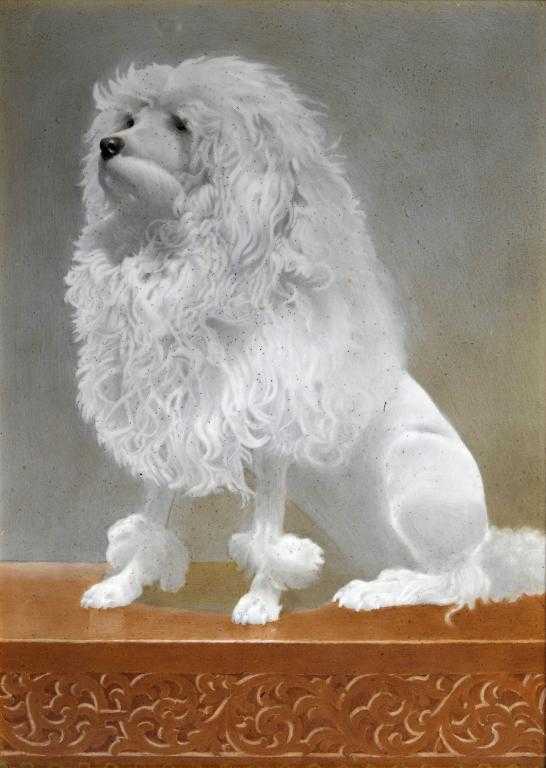 Appraisal: A STAFFORDSHIRE PORCELAIN PLAQUE painted with a white toy poodle