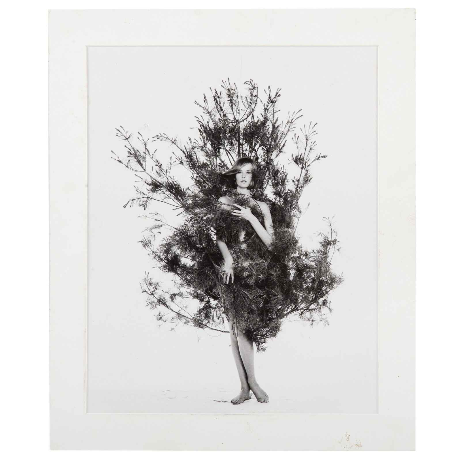 Appraisal: WILLIAM HELBURN NENA IN FIR TREE PHOTOGRAPH American - Gelatin