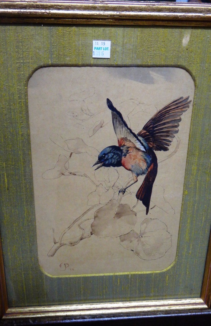 Appraisal: Edward Julius Detmold - Bird studies a pair watercolour pen