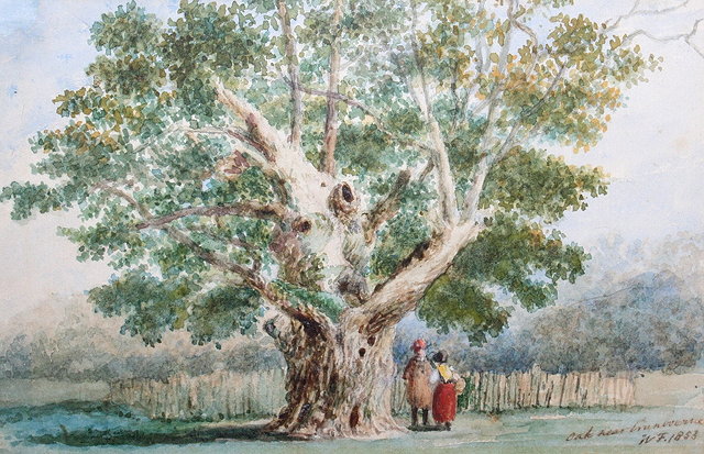 Appraisal: WILLIAM FOSTER - 'Oak Near Cranbourne' 'Oak Near Hurstmonceaux Castle'