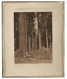 Appraisal: Edward Curtis ''In the Forest - Klamath'' unsigned printed title