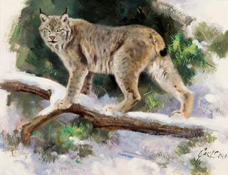 Appraisal: Lynx by Ken Carlson Ken Carlson - Lynx oil on