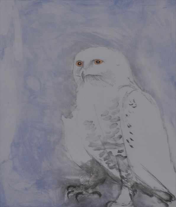 Appraisal: ELIZABETH FRINK - SNOWY OWL FROM SIX OWLS Etching and