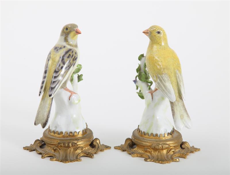 Appraisal: PAIR OF GERMAN PORCELAIN SONG BIRD MODELS ON LOUIS XV