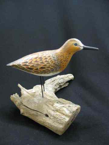 Appraisal: Gary N Crossman Carved Painted WoodenGolden Plover '' signed