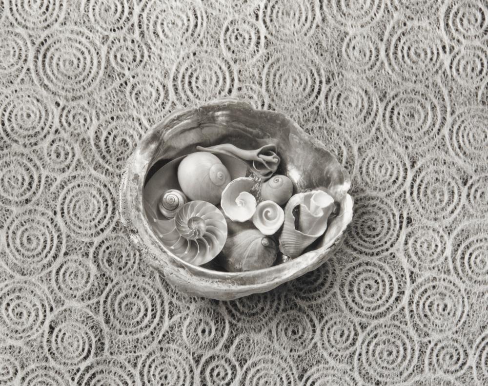 Appraisal: PAUL CAPONIGRO American b Neptune's Harvest Cushing Maine gelatin silver