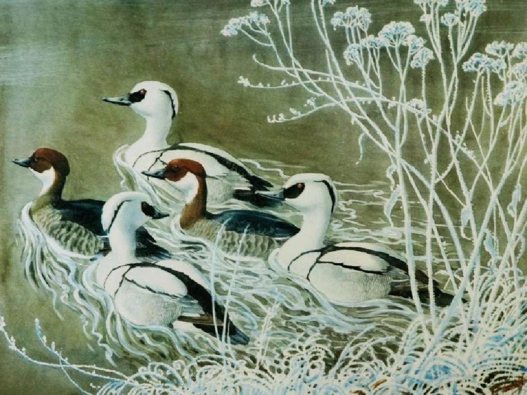 Appraisal: CHARLES FREDERICK TUNNICLIFFE - ARTIST SIGNED LIMITED EDITION COLOUR PRINT