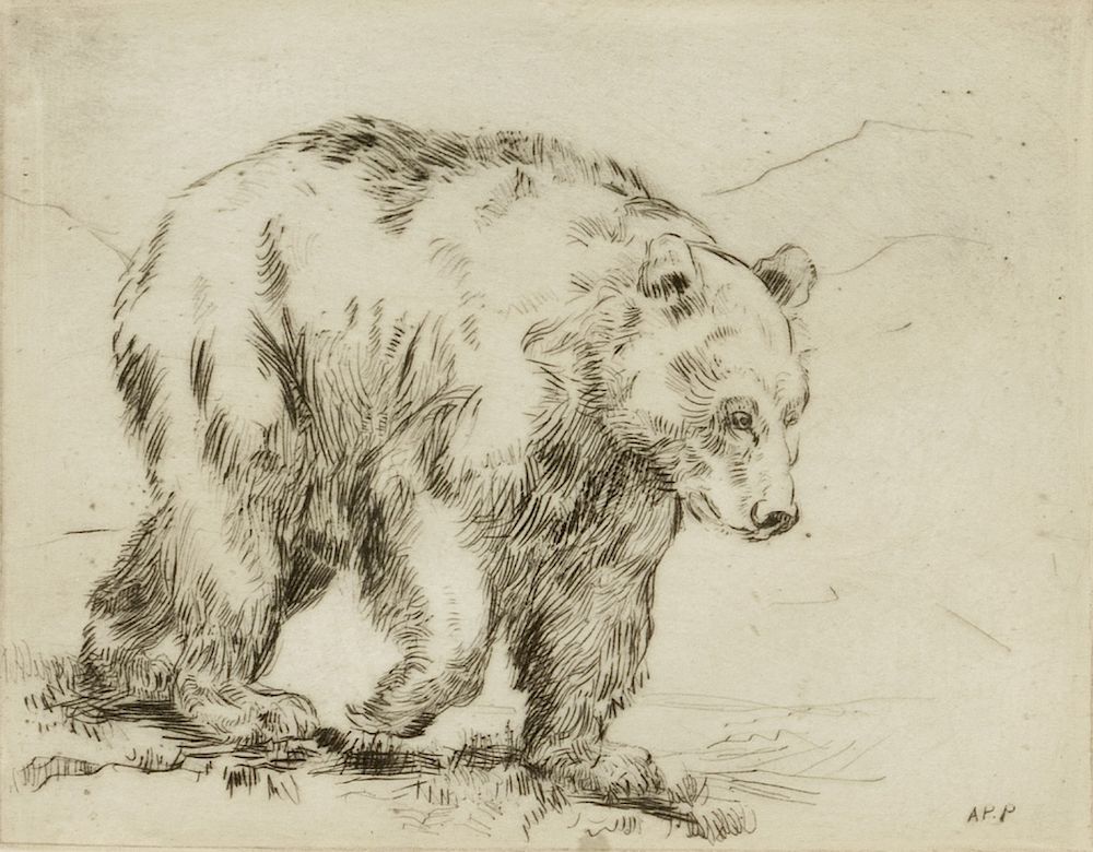 Appraisal: Alexander Phimister Proctor Untitled Bear Untitled Bear Artist Name Proctor