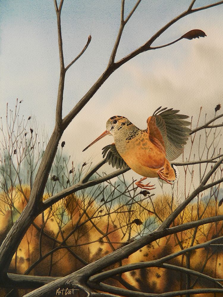 Appraisal: Arthur Cook watercolor Arthur Cook American - - Bird in