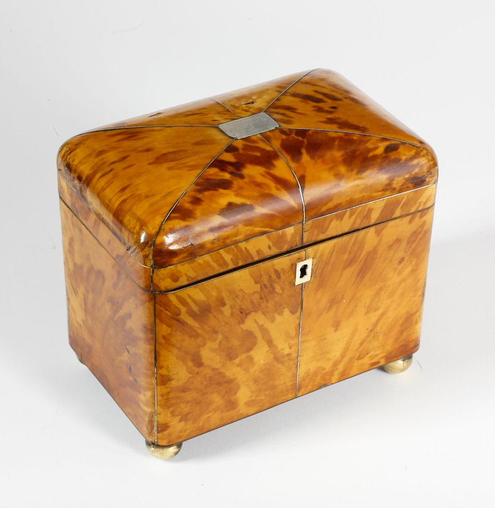 Appraisal: English Regency Tortoiseshell Dome Top Double Compartment Tea Caddy st