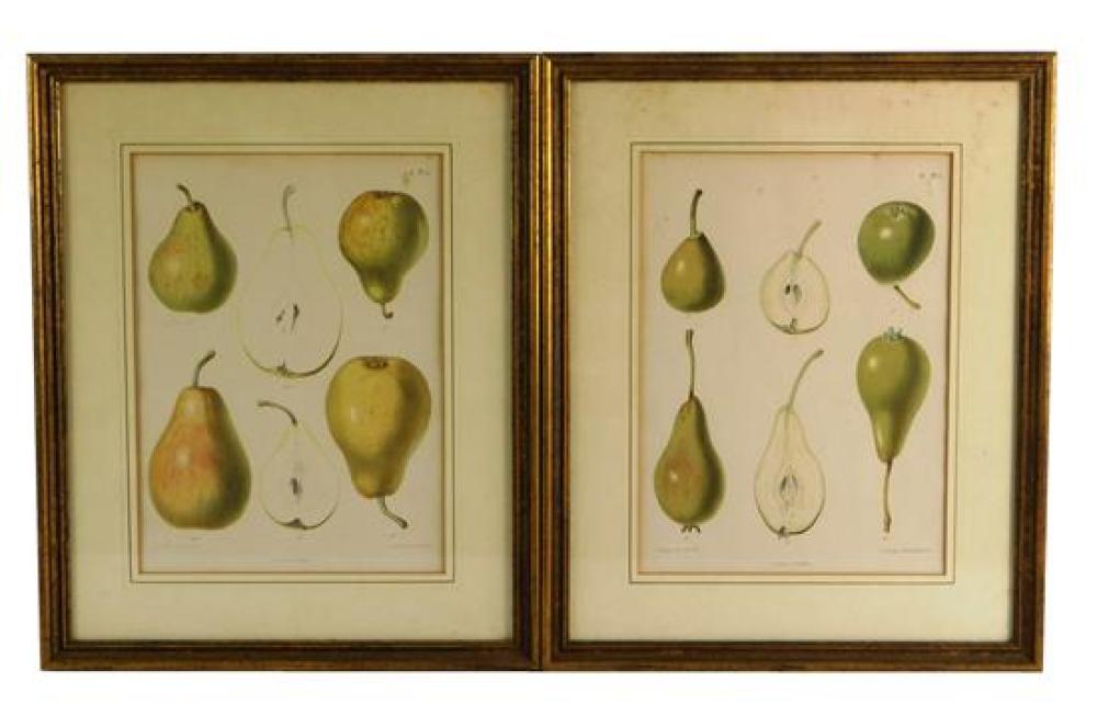 Appraisal: Sybolt Berghuis Dutch - two framed chromolithographs of pears published