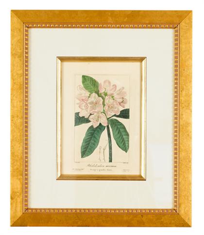 Appraisal: Six hand colored engravings of flowering plants p bessa paris