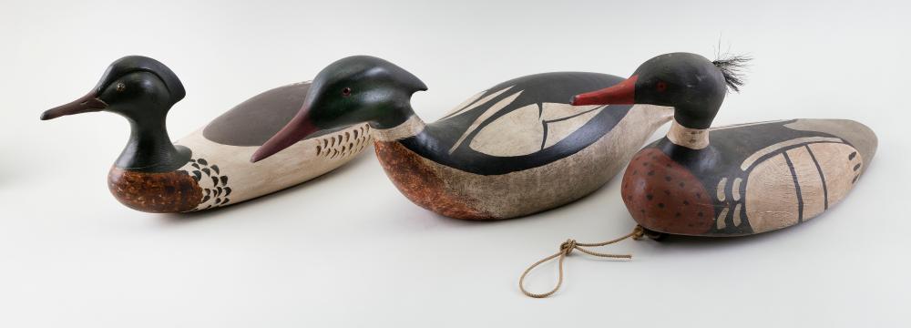 Appraisal: THREE MERGANSER DECOYS CONTEMPORARY LENGTHS FROM TO THREE MERGANSER DECOYS