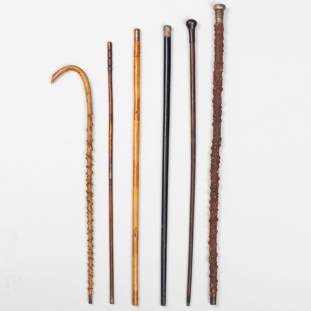 Appraisal: Group of Six Walking Sticks Comprising Two twig sticks A