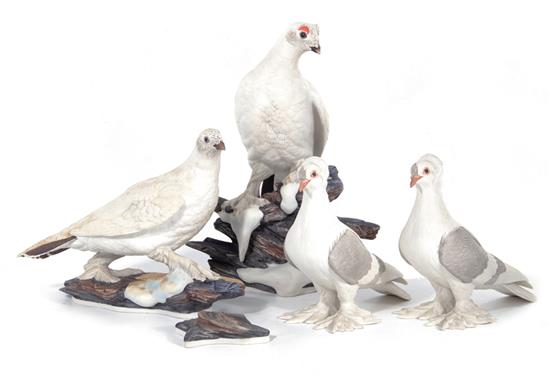 Appraisal: Pair Boehm Ptarmigans and Tumbler Pigeons no H W and