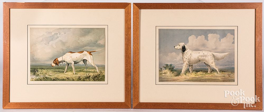 Appraisal: Four Alexander Pope dog lithographs Four Alexander Pope dog lithographs