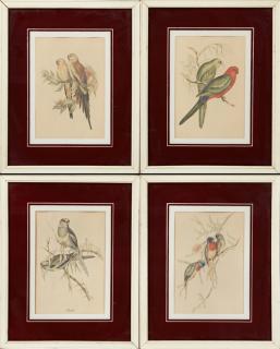 Appraisal: John Gould - Parakeets c group of four colored prints