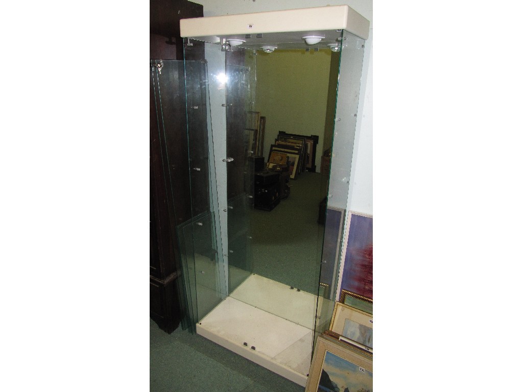 Appraisal: Shop display cabinet