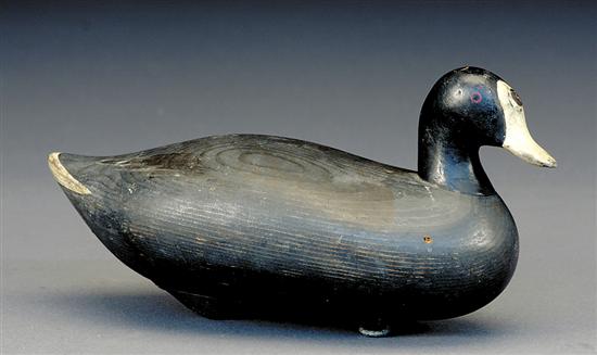 Appraisal: R Madison Mitchell coot duck decoy Havre de Grace Maryland