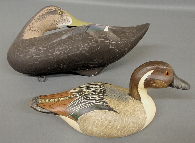 Appraisal: - Resting black duck decoy signed Patrick Vincenti Churchville MD