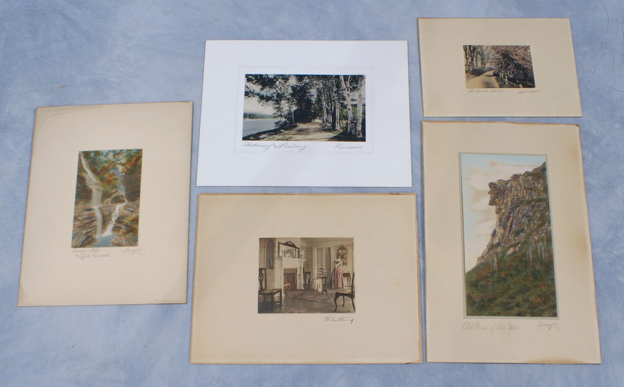 Appraisal: Album of hand colored photographs to include Wallace Nutting Burrowes