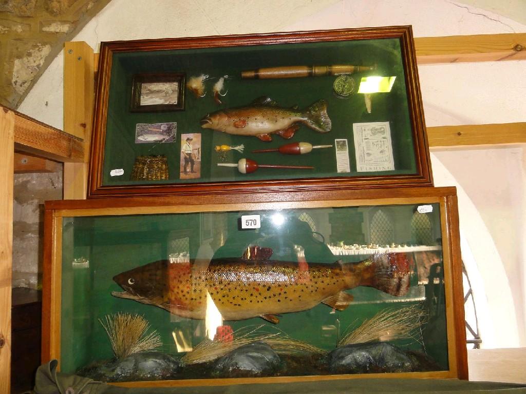 Appraisal: A trophy cabinet for a trout in a naturalistic setting