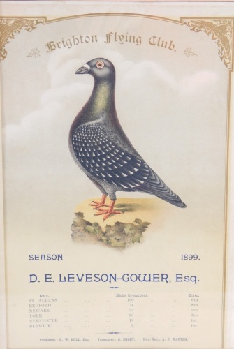 Appraisal: A Brighton Pigeon Fanciers Flying Club Season card for D