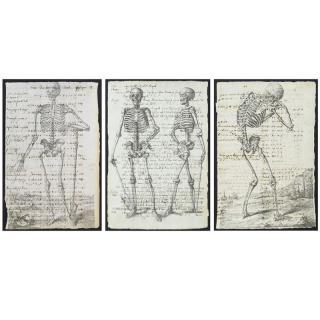 Appraisal: Three th Century Manuscript Pages Decorated with Later Engravings Skeleton