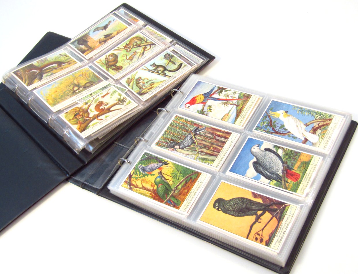 Appraisal: Various Leiebig cards nature wild animals parrots etc albums