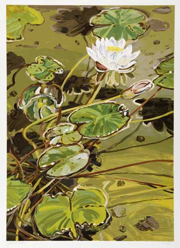 Appraisal: JANET FISH Lotus Color screenprint x mm x inches full