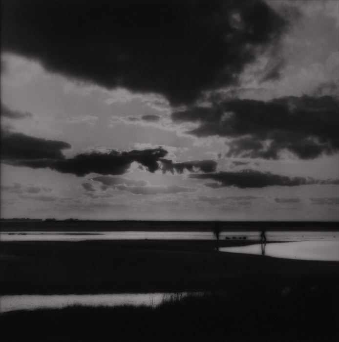 Appraisal: SALLY GALL b GALVESTON Gelatin silver print x in sight