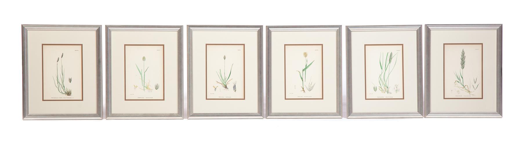 Appraisal: GROUP OF SIX FRAMED BOTANICAL PRINTS England th century Prints